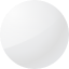 Arctic White